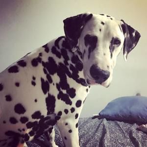 Meet your Posher, Cinthya